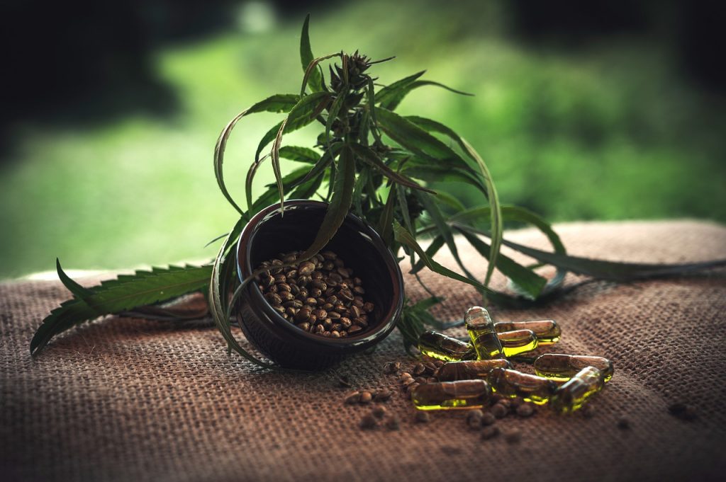 5 Reasons Cannabis is Good for You