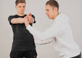 Neurocentric Training: Elevating Strength and Performance by Targeting the Nervous System